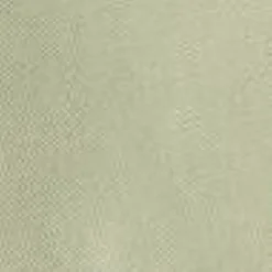 Best Sacai X Duck Shorts | Lysegron Mænd Samarbejde